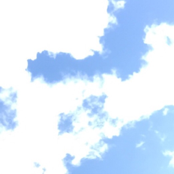 Meet your Posher, Sophia - Picture 1 of 1